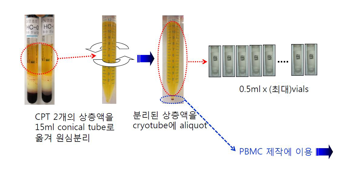 보관용 plasma시료 제작 과정