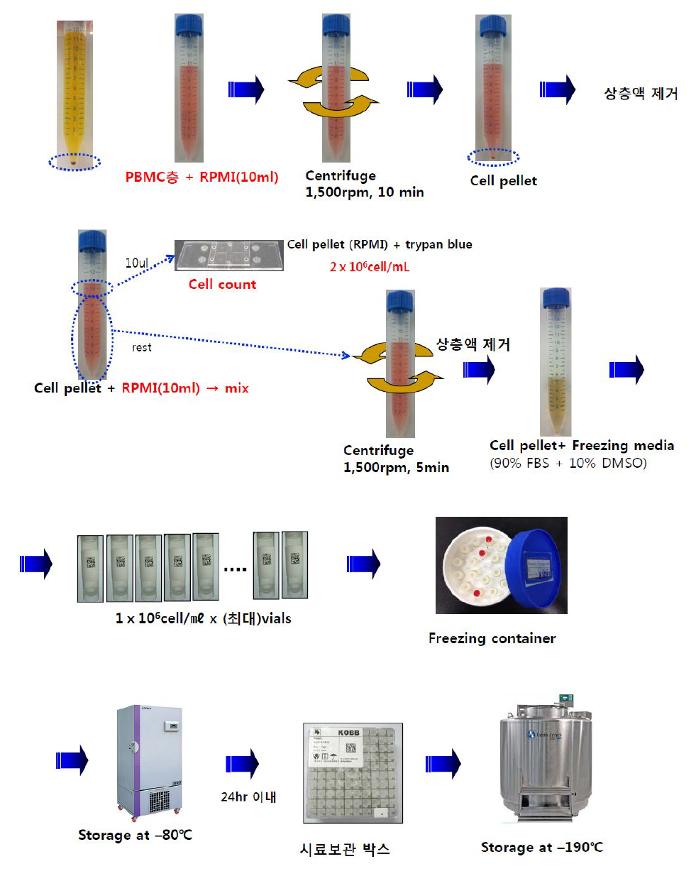 보관용 PMBC시료 제작 과정