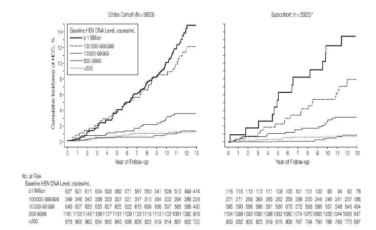 HBV-DNA 농도에 따른 간세포암종 누적 발생율