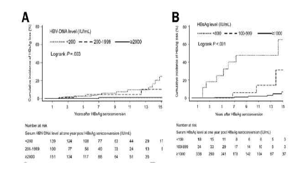 HBV-DNA 농도 및 HBsAg 정량 농도에 따른 누적 HBsAg 혈청전환율