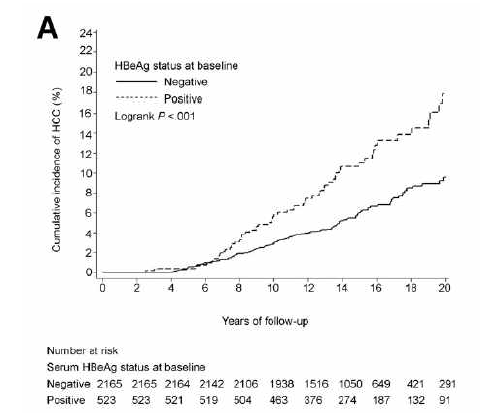 HBeAg 양성 여부에 따른 간세포암종 누적 발생율