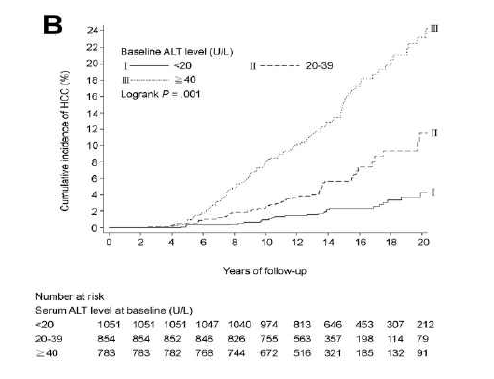 ALT level에 따른 간세포암종 누적 발생율