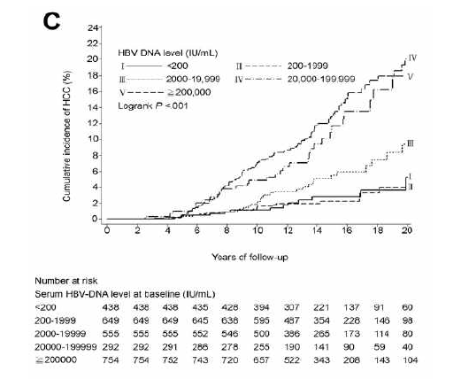 HBV-DNA level에 따른 간세포암종 누적 발생율