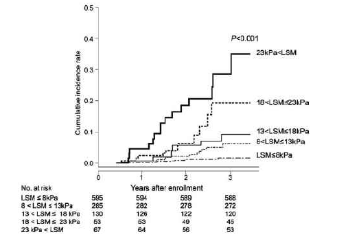 liver stiffness measurement에 따른 간세포암종 누적 발생율