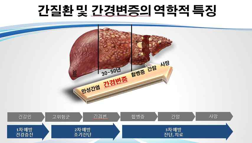 간질환 및 간경변증의 역학적 특징