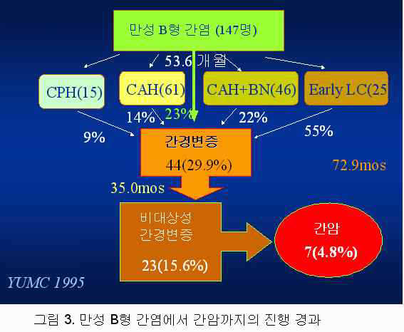 B형간염에서 간세포암종까지의 진행경과와 위험률