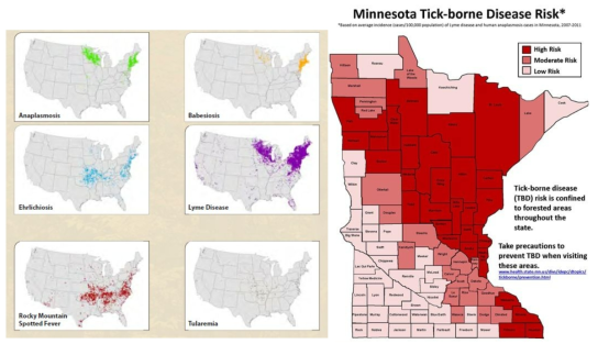 진드기 질환에 대한 위험도 지도-미국 라임병.