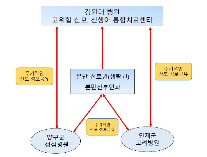 강원 춘천권 분만취약지-권역 통합치료센터 연계 모델