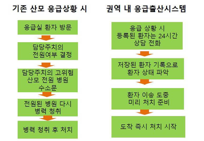 권역 내 출산 응급 시스템 이용하는 모식도