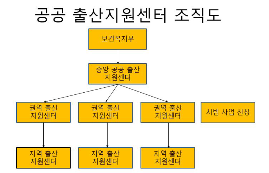 공공 출산 지원센터 조직도