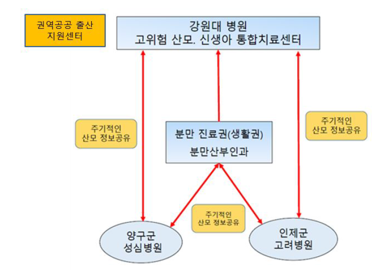 춘천권 산모-신생아 전달체계 최종 모식도