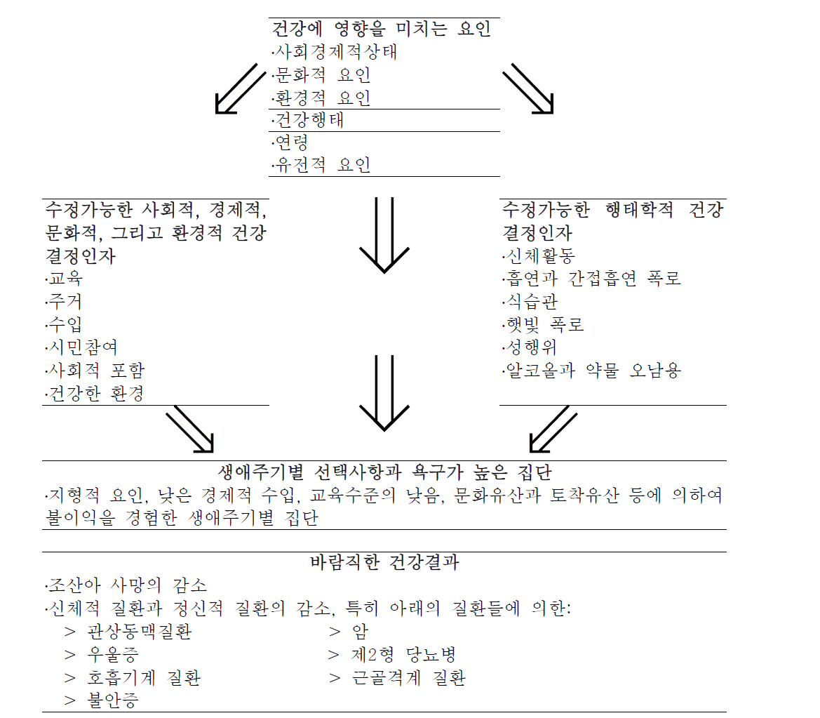 호주 빅토리아주 건강증진사업의 전략적 방향