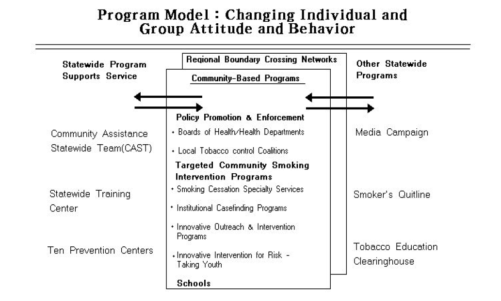 미국의 네트워크를 활용한 메사추세츠주 금연프로그램 모델