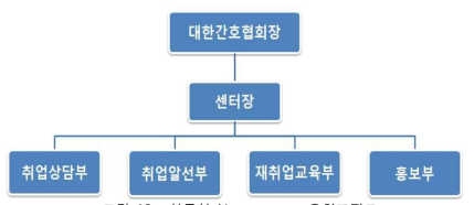 한국형 Nurse center 운영조직도