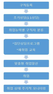 한국형 Nurse Center의 운영흐름도