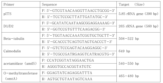 Primers used sequencing for identification of Aspergillus species