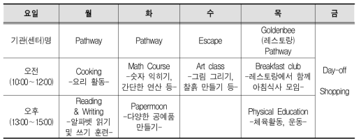 발달장애인의 주간활동서비스의 주간 일정 예시