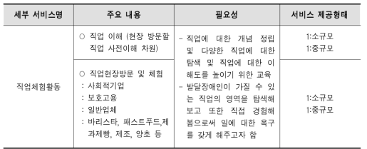 직업형 서비스 내용