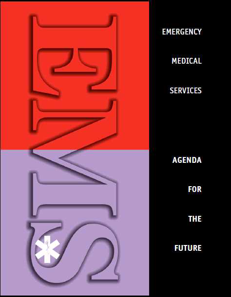2010년도 EMS agenda for the future 표지