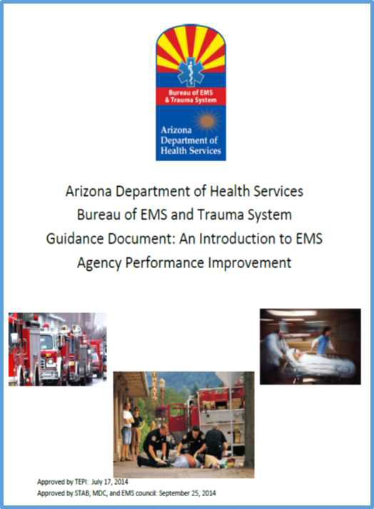 아리조나주 EMS 및 Trauma system guidance document