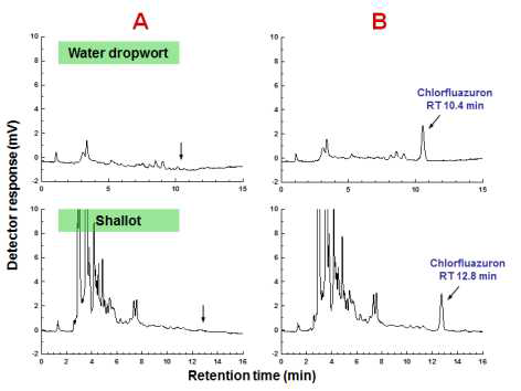 미나리 및 쪽파 중 chlorfluazuron의 잔류분석 HPLC-UVD 크로마토그램의 예.
