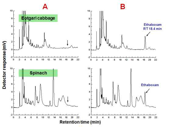 엇갈이배추 및 시금치 중 ethaboxam의 잔류분석 HPLC-UVD 크로마토그램의 예.