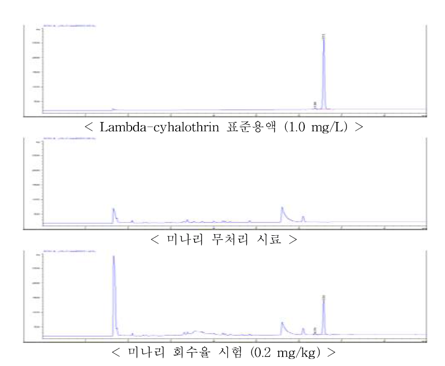 미나리 중 lambda-cyhalothrin의 회수율 크로마토그램