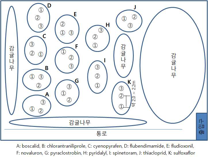 시험포장 배치도(포장 1)