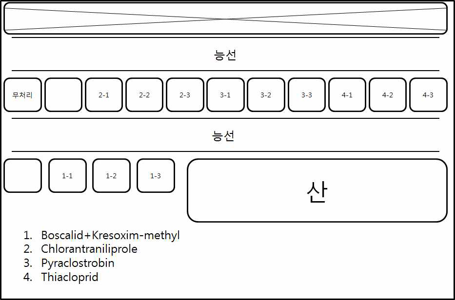 시험포장 배치도(포장 1)