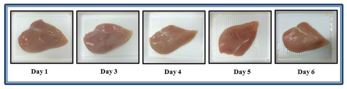 닭고기 가슴살(4℃,호기포장)의 저온저장기간별 표면사진