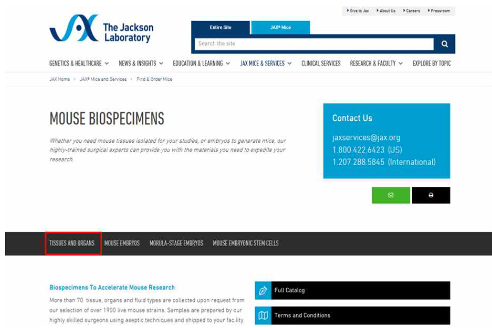 Jackson Lab의 홈페이지에서 조직과 장기 검색 화면