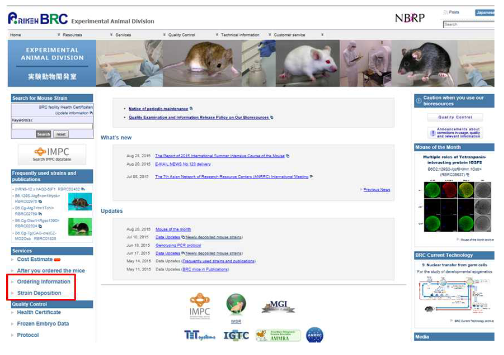 일본 BRC 실험동물부 홈페이지 화면
