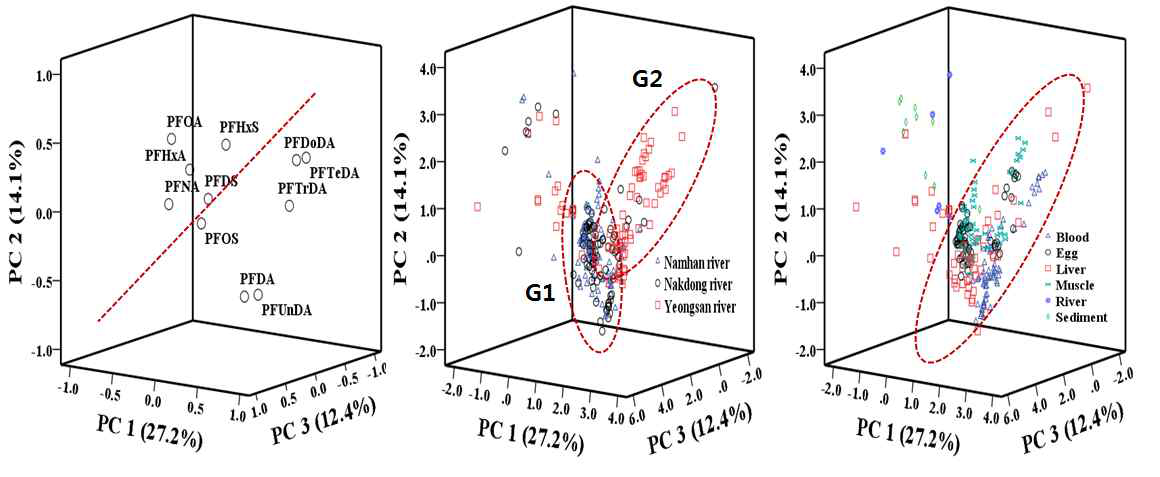 PCA plot of PFASs by river and sample type.