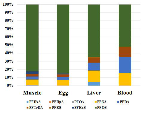 Distribution of BCF for PFASs in crucain carp; Scenario 1