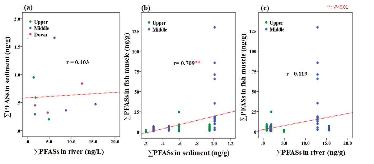 Correlation between sample species of ΣPFASs concentration; (a) ΣPFASs in sediment vs ΣPFASs in river, (b) ΣPFASs in sediment vs ΣPFASs in fish muscle (c) ΣPFASs in river vs ΣPFASs in fish muscle