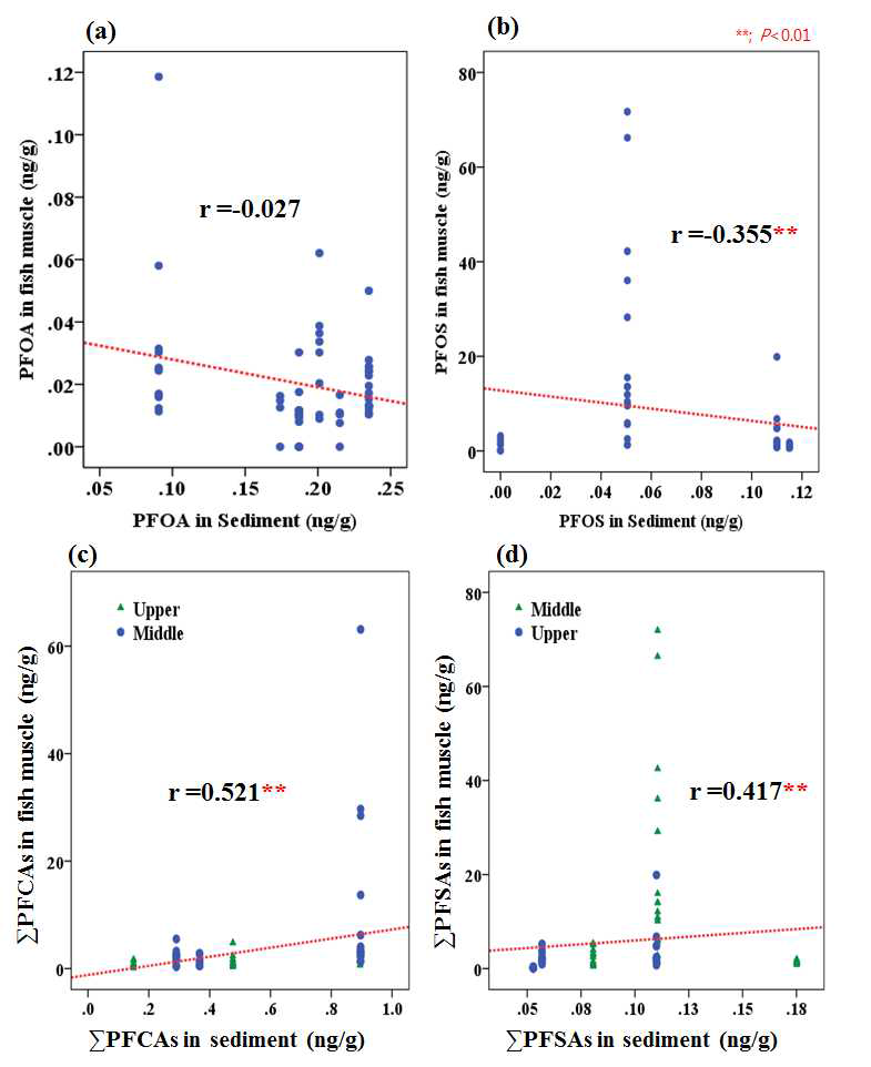 Correlation between sediment concentration and fish muscle of PFASs concentration; (a) PFOA in sediment vs PFOA fish muscle, (b) PFOS in sediment vs PFOS in fish muscle (c) ΣPFCAs in sediment vs ΣPFCAs in fish muscle, (d) ΣPFSAs in sediment vs ΣPFSAs in fish muscle