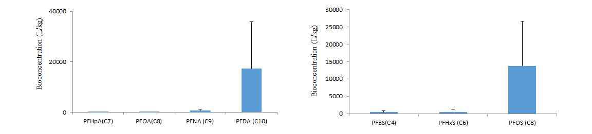 Bioconcentration factors in medaka fish body