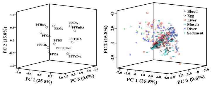 PCA plot of PFASs by sample type