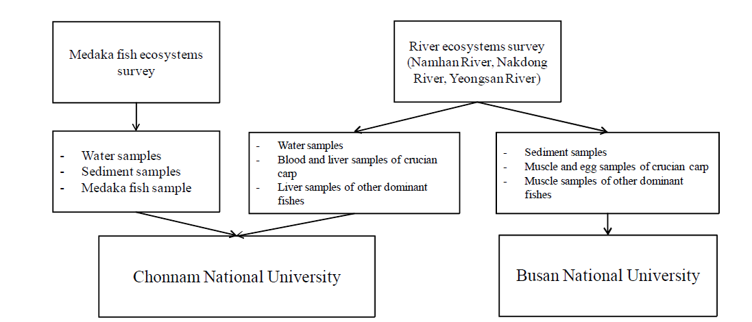 Sample collection and analysis scheme