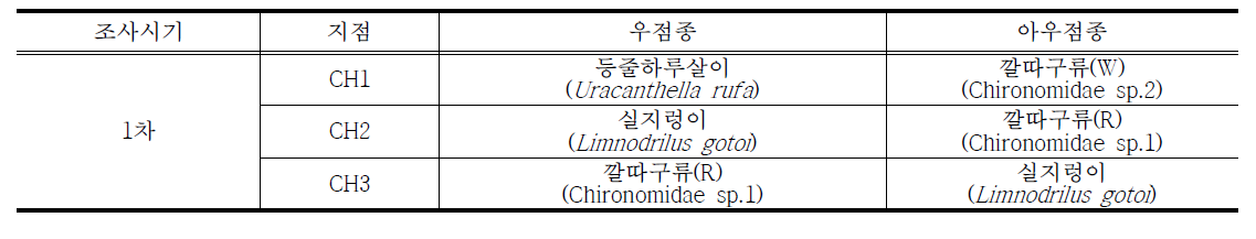 차천 저서성대형무척추동물 우점종 현황