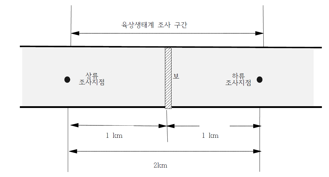 현 모니터링 디자인의 공간적 규모 및 조사 위치