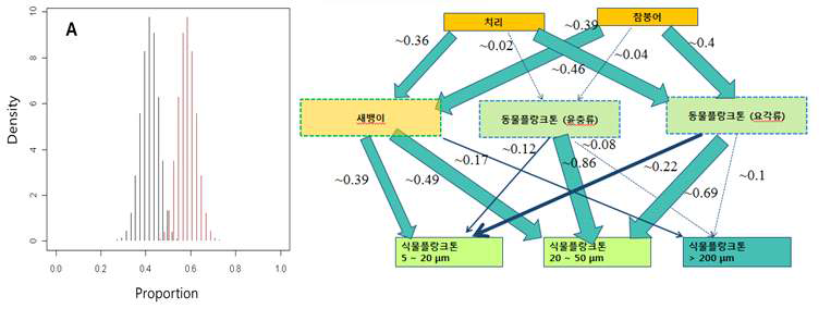 혼합모델을 이용한 먹이원 기여율의 확률분포 계산 (좌)과 물질순환의 정량적 흐름도 (우)