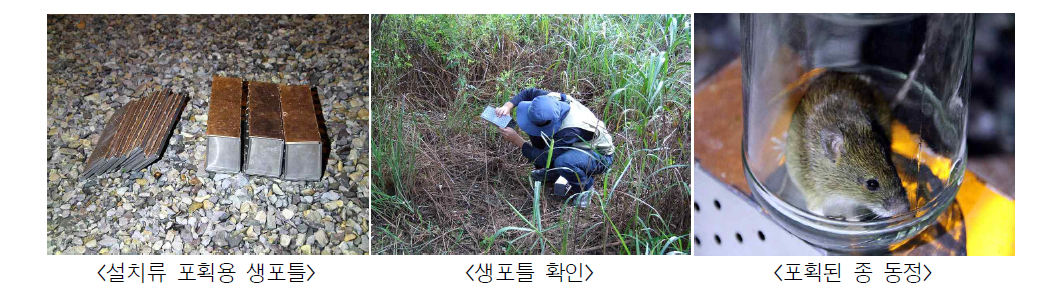 포획조사용 도구 및 현장 동정