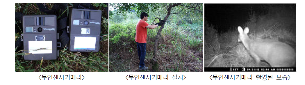 무인센서카메라를 활용한 조사방법