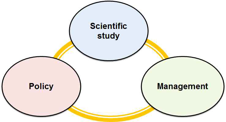 과학적 연구와 환경정책, 관리의 연계성