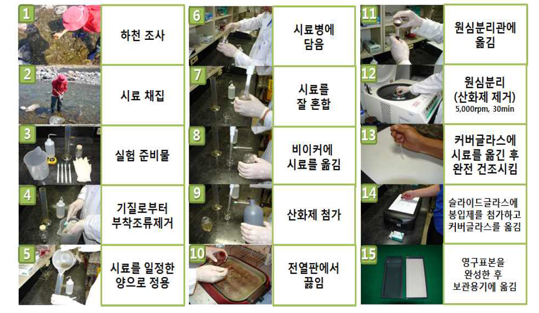 부착돌말류 분석을 위한 전처리 과정