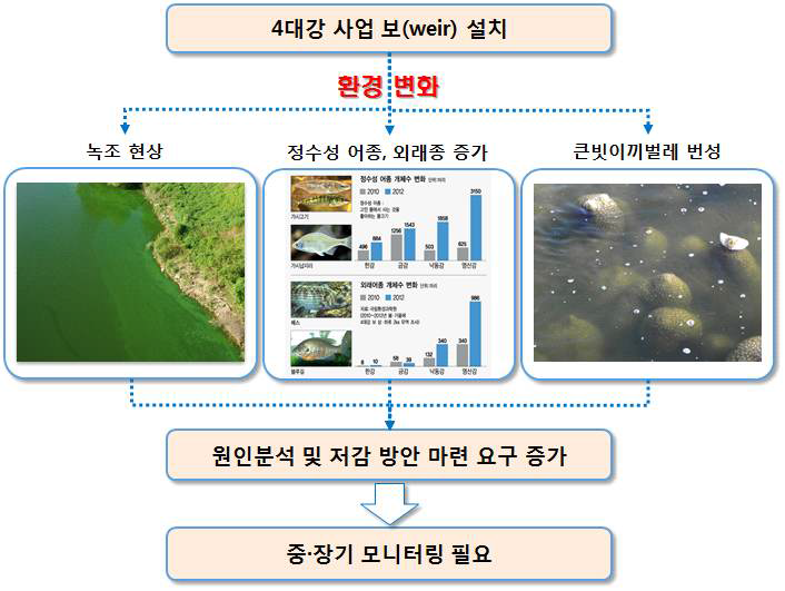 4대강 보 설치 구간의 모니터링 필요성