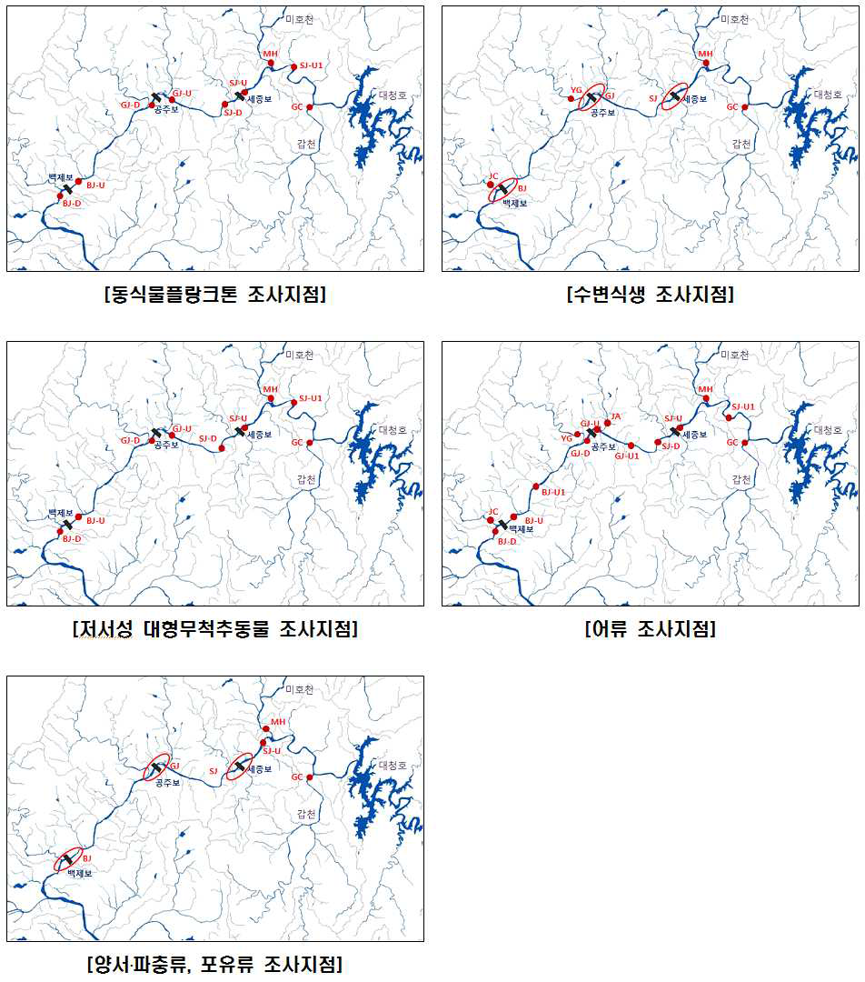 금강 수계의 수질 및 생물상 조사지점