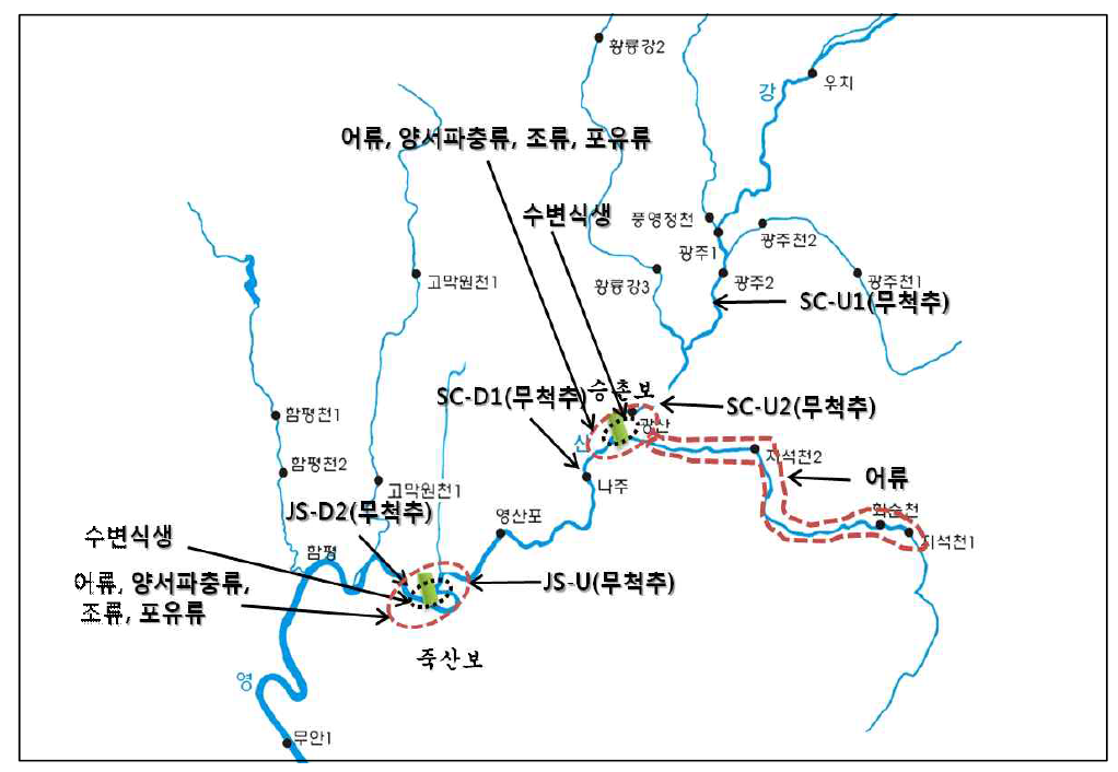 영산강 수계의 수질 및 생물상 조사지점