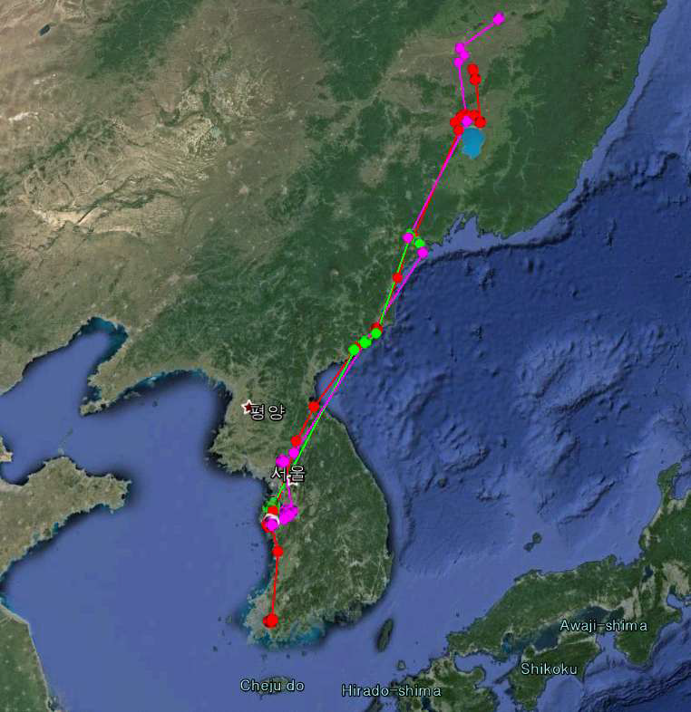 천수만 쇠기러기 5개체 전체 추적기록